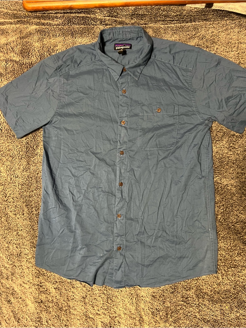 Patagonia button down shirt